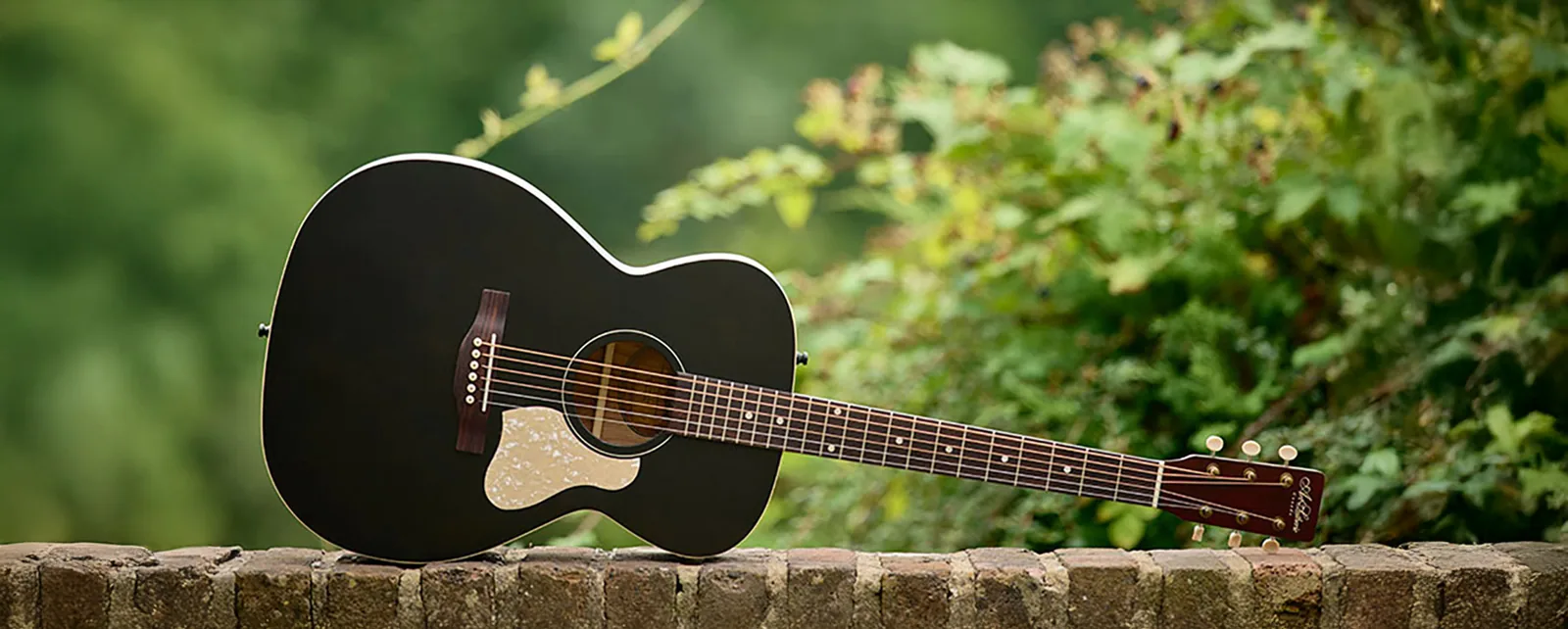 Art & Lutherie Guitars marka görseli