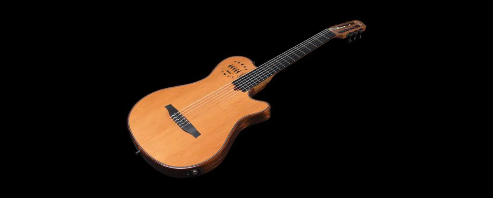Godin Guitars marka görseli